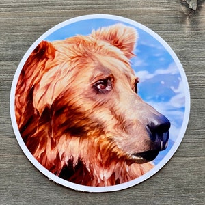 STC•063 Bear &quot;128 Grazer&quot; Sticker, Brooks Falls Alaska, Katmai National Park Alaska, Alaska Brown Bears, Alaska Photography, Fat Bear Week