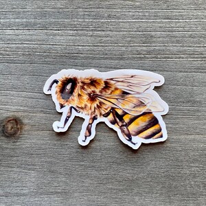 May include: A close-up of a bee sticker with a detailed watercolor illustration of a bee with brown and yellow stripes. The bee is in flight with its wings spread out.