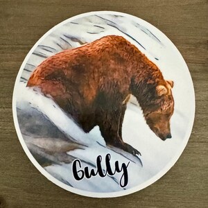 STC-119  Bear &quot;903 Gully&quot; Sticker, Brooks Falls Alaska, Katmai National Park, Alaska Gift, Alaska Photography, Alaska Travel, Fat Bear Week