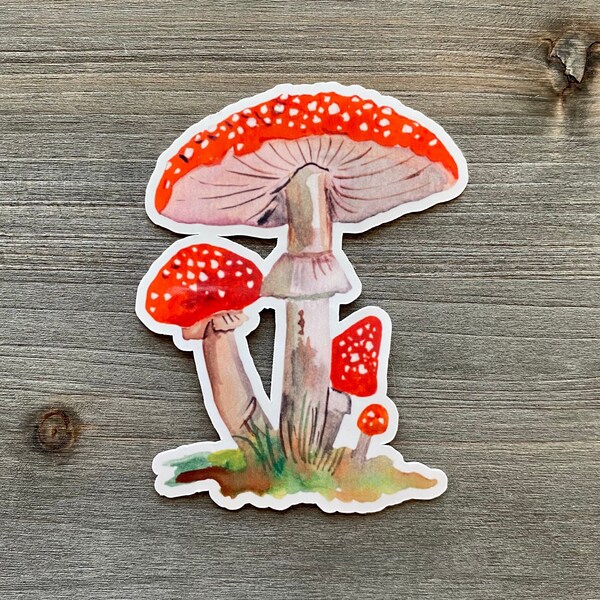 STC-108 Fly Agaric Mushroom Sticker, White Spotted Mushrooms Sticker, Garden Sticker, Forest Plant Sticker, Fungi Sticker, Nature Sticker