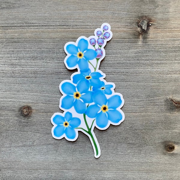 STC-111 Forget•Me•Not Flower Sticker, Alaska State Flower Sticker, Alaska Wildflower Sticker, Wildflower Sticker, Nature Sticker, Alaska Art