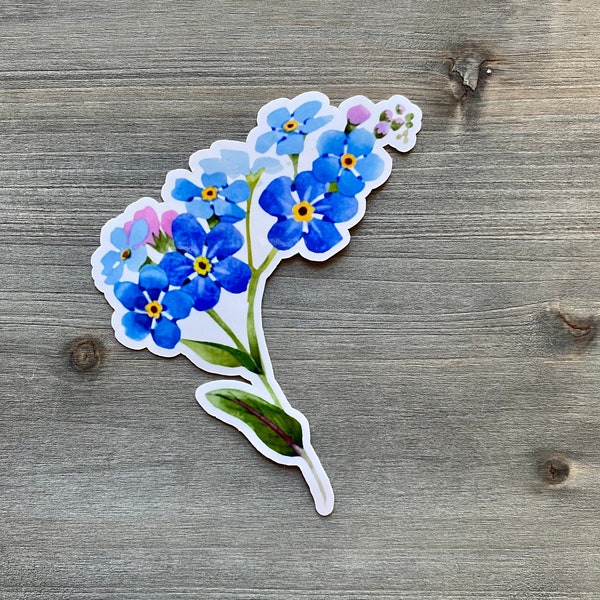 STC-021 Alaska Forget•Me•Not Sticker, Alaska State Flower Sticker, Alaska Wildflower Sticker, Botanical Sticker, Alaska Native Flowers