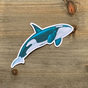 STC-147 Orca Whale Sticker, Killer Whale Sticker, Alaska Orca, Sea Life Sticker, Alaska Cruise, Alaska Photography, National Park Sticker