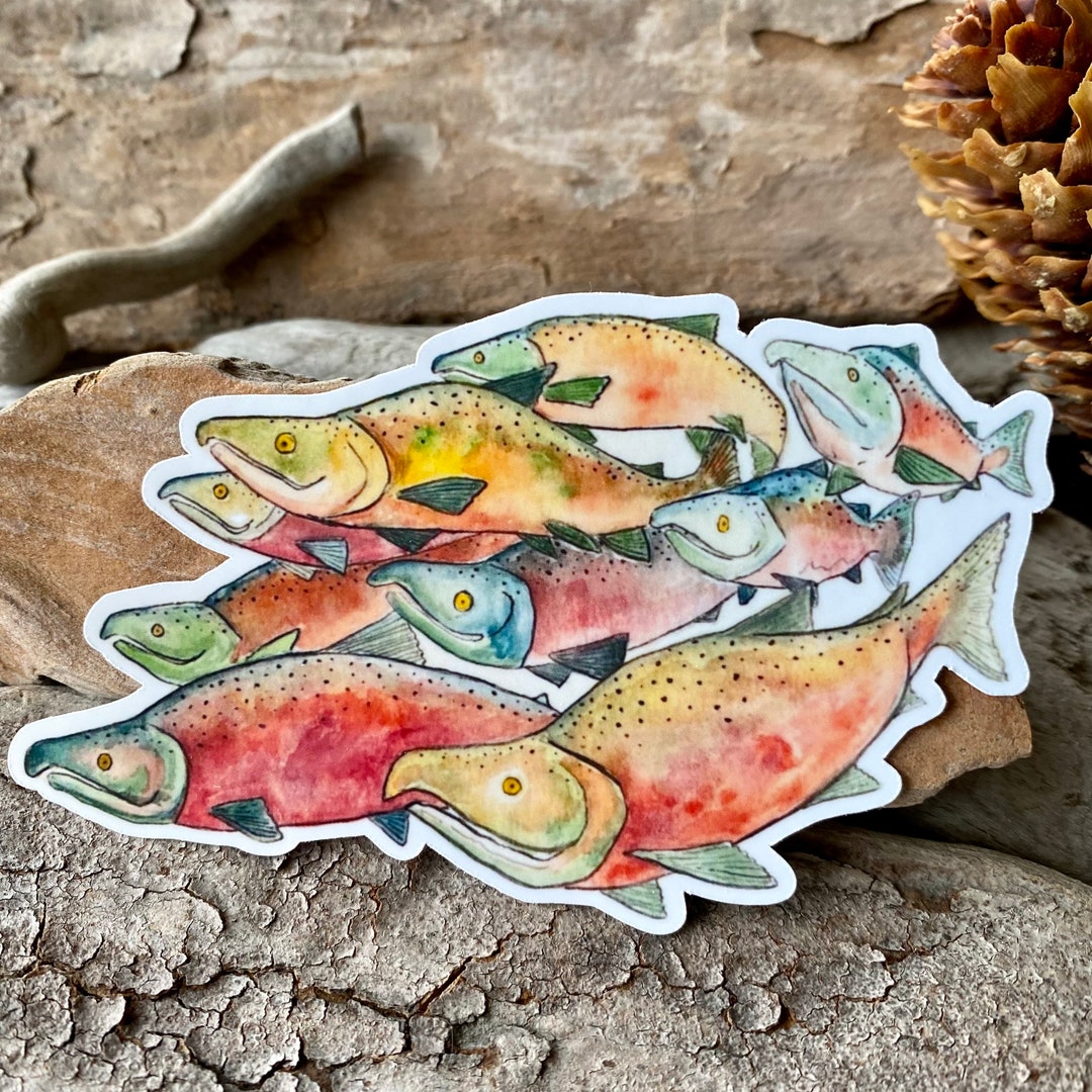 STC-061 Alaska Artsy Sockeye Salmon Sticker, Fat Bear Week, Katmai ...