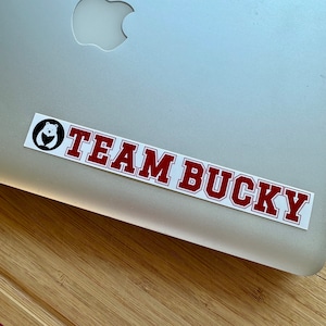 STC-198 Team Bucky Sticker, Bear 164 Bucky Dent,  Fat Bear Week, Alaska Brown Bear, Katmai National Park, Brooks Falls Bears, Alaska Art
