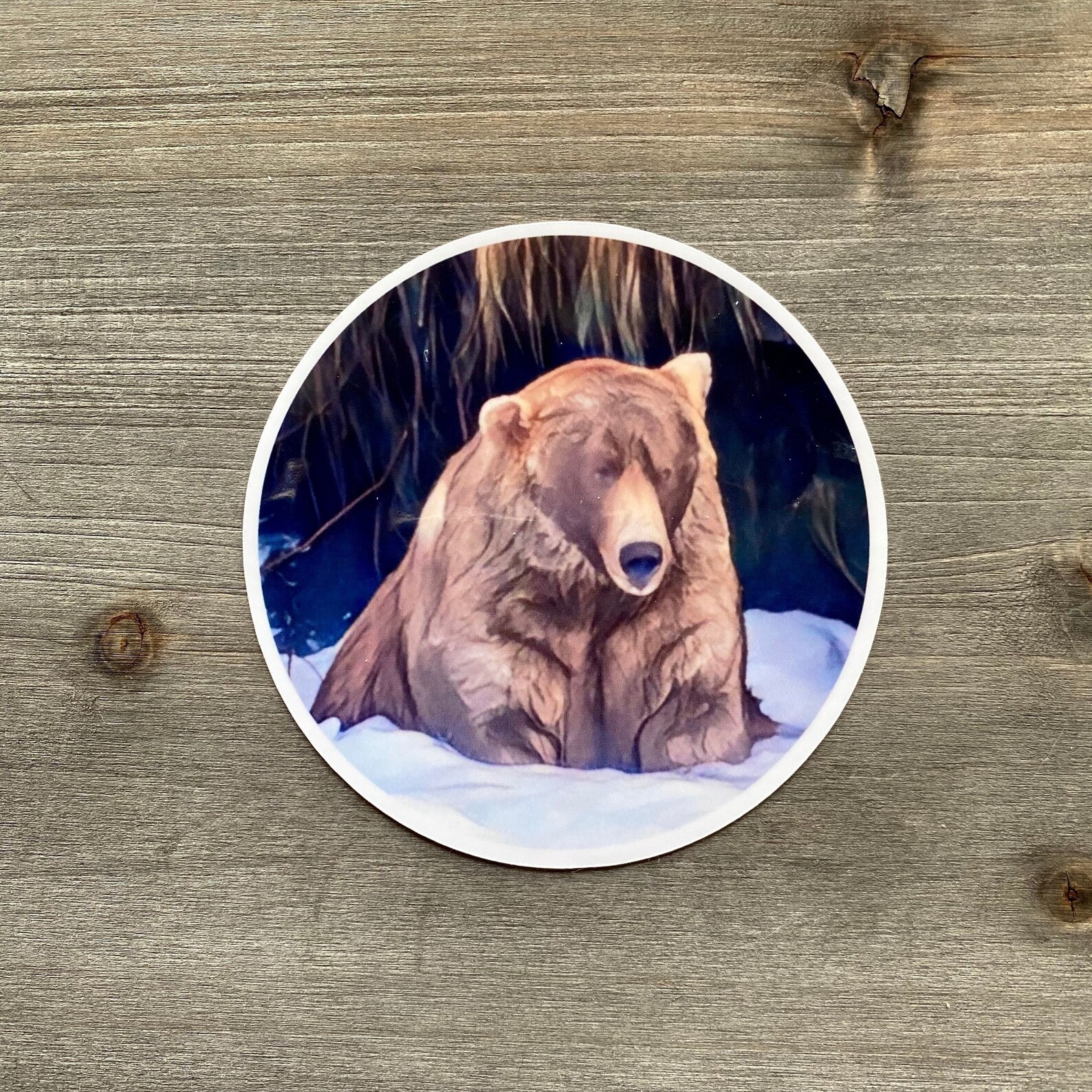 STC004 480 Otis Bear Sticker Brown Bear Sticker Etsy