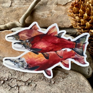 STC-099 Alaska Sockeye Salmon Sticker, Katmai National Park Sticker, Fat Bear Week, Fishing Adventure Sticker, Wild Alaska Salmon,Alaska Art