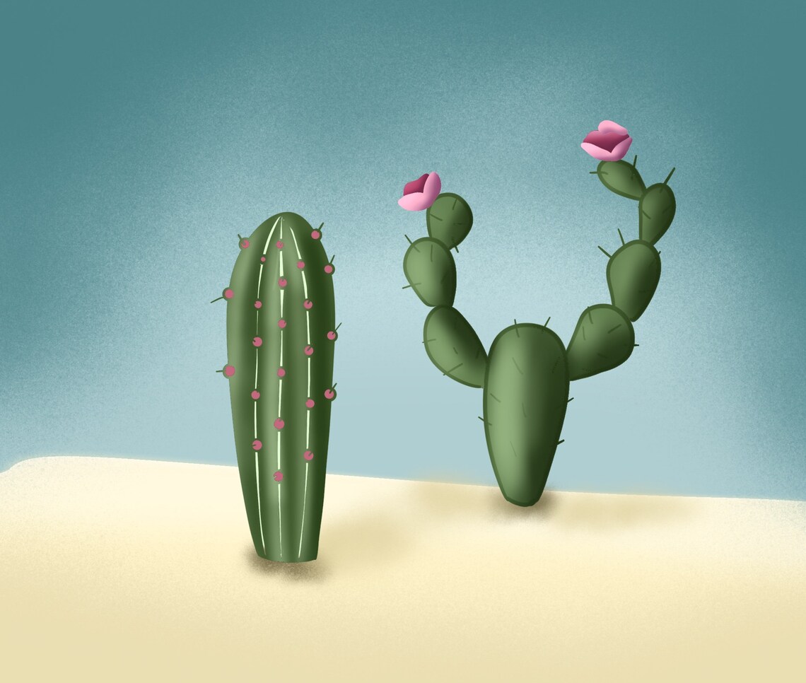 Cactus Procreate , Procreate Cactus Brushes, Procreate Cactus Brushes