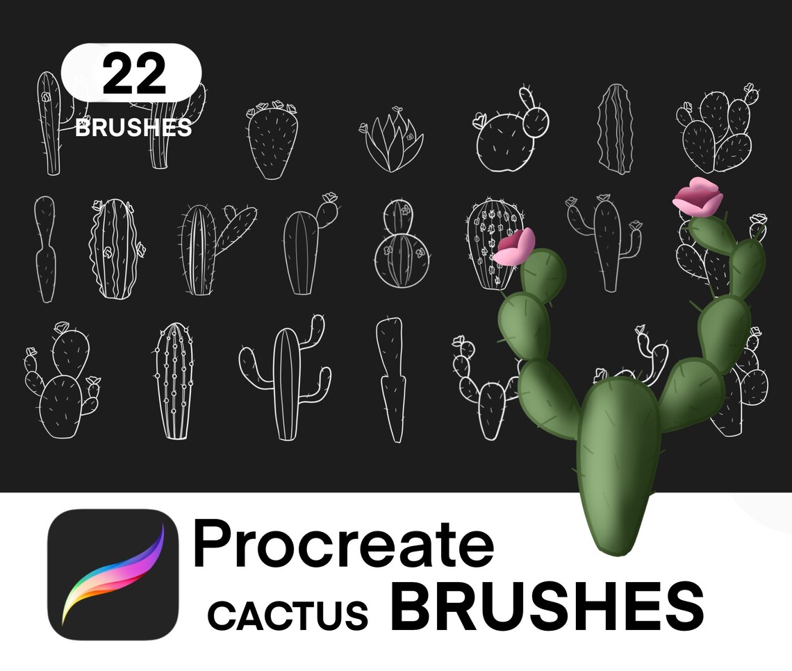 Cactus Procreate , Procreate Cactus Brushes, Procreate Cactus Brushes