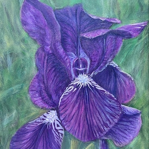 Acrylic Iris Painting - ORIGINAL ART - 11x14