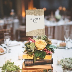 Buch-Themen-Tischnummern 1-20, literarische Hochzeit, von Literatur inspirierte Hochzeit, Buchclub-Party-Tischdekoration, Buchthema-Mittelstück