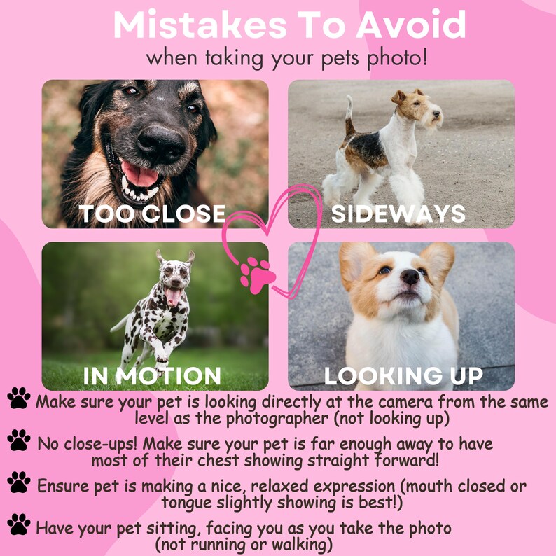 Custom Dog Photo Mug With Name, Dog Lover Gift, Birthday Gift for Dog