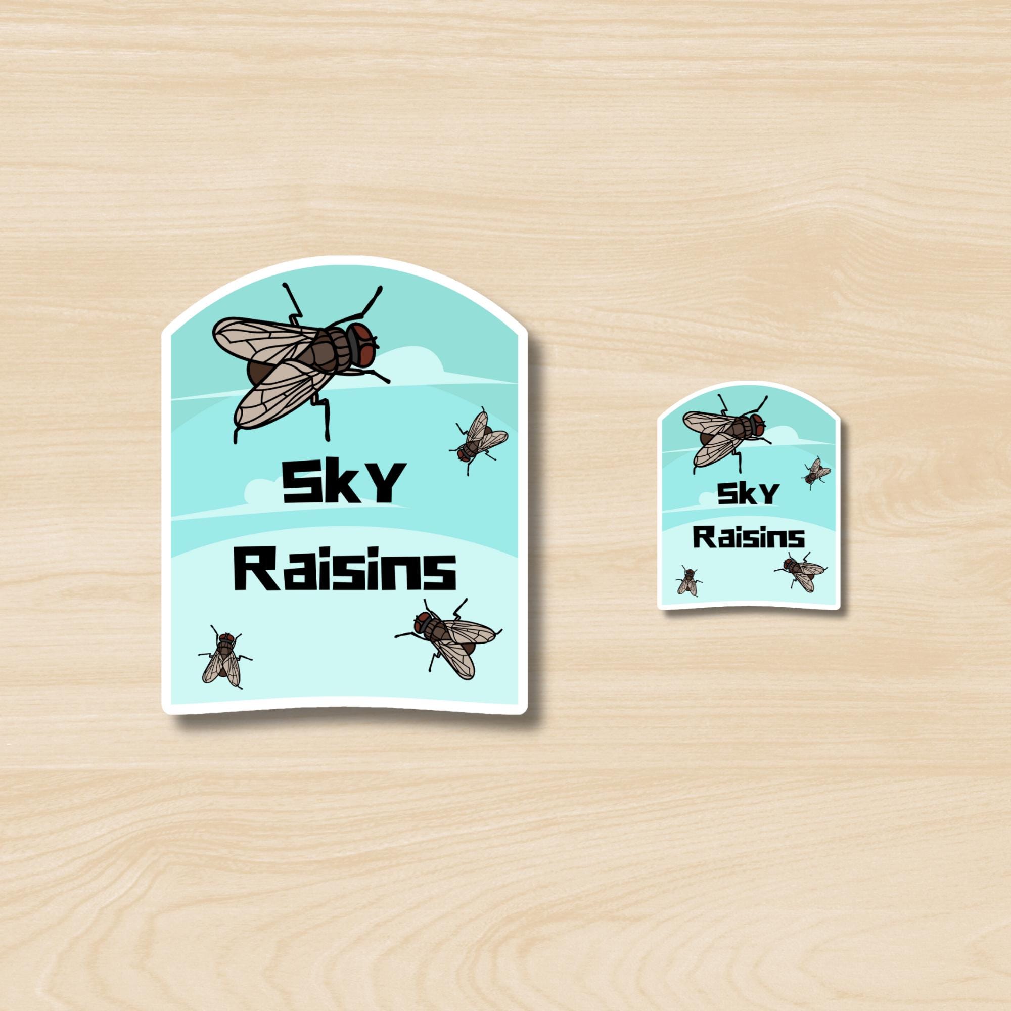 Sky Raisin Chart Fly: Sky Raisin Sticker, Funny Housefly Sticker, Cute Flying Insect ...