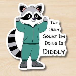 May include: A cartoon raccoon wearing a green tracksuit with a black and white striped tail. The text "The only squat I'm doing is diddly" is written below the raccoon.