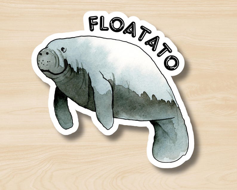 K&ouml;nnte beinhalten: Ein Aufkleber mit einer Aquarellillustration eines Manatis in Grau- und Wei&szlig;t&ouml;nen. Das Wort "FLOATATO" ist in Schwarz geschrieben und &uuml;ber dem Manati gebogen. Der Aufkleber hat einen wei&szlig;en Rand und einen Holzmaserungshintergrund.