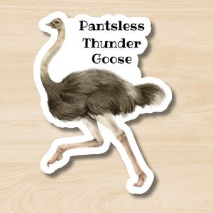 Ostrich: Pantsless Thunder Goose Sticker, Funny Ostrich Sticker, Cute Emu Sticker, Bird Sticker, Rename the Animals, The New Zoo