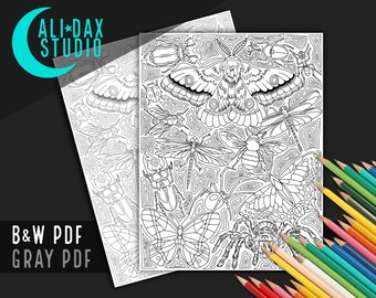 Bugs, Insects, Spiders printable coloring page for adults & kids, hand drawn, black/white and grayscale, digital art
