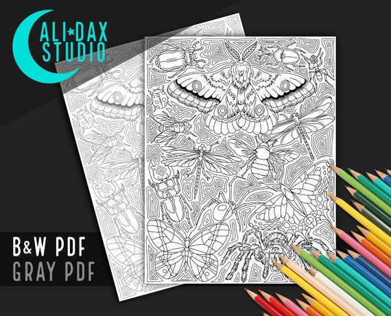 Bugs, Insects, Spiders printable coloring page for adults & kids, hand drawn, black/white and grayscale, digital art