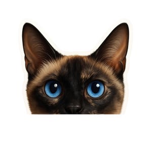 Peek-A-Boo Cat Sticker: Tabby, Siamese, & More