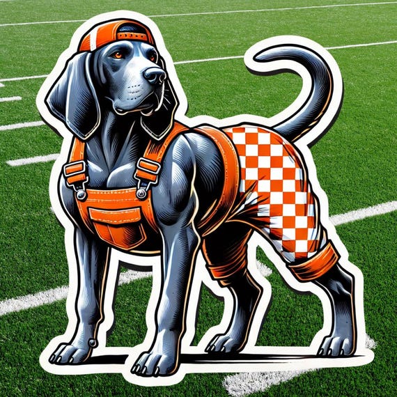 Bluetick Coonhound Wearing Orange and White Checkered Overalls
