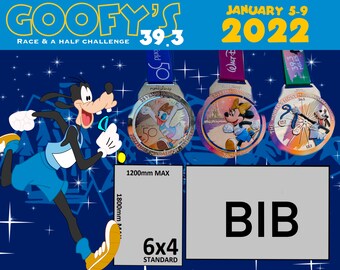 RunDisney Goofy  2022 Shadowbox display