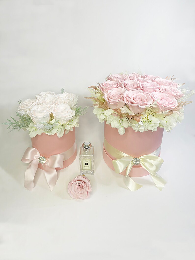 Light Pink Preserved Roses Eternal Roses Forever Roses Etsy