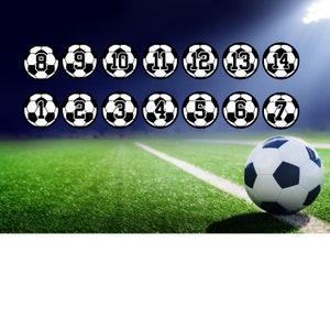 May include: A set of 14 black and white soccer balls with numbers 1 through 14 printed on them. The balls are arranged in two rows on a green field with a white line.