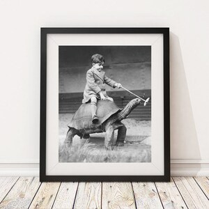 May include: A black and white photograph of a young boy riding a giant tortoise. The boy is wearing a jacket and pants and is holding a stick. The tortoise is walking on a path in a park.