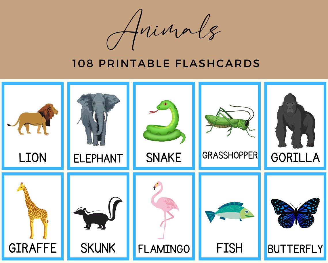 Animals - 108 Printable Flashcards - Etsy