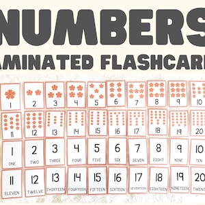 Numbers - 41 Laminated Flashcards