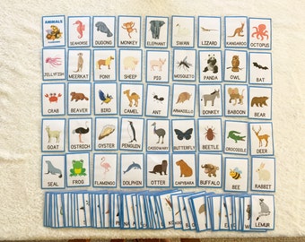Animals - 108 Laminated Flashcards