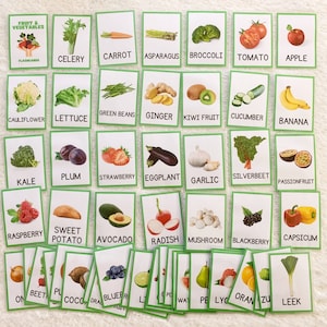 Fruits & Vegetables - 53 Laminated Flashcards