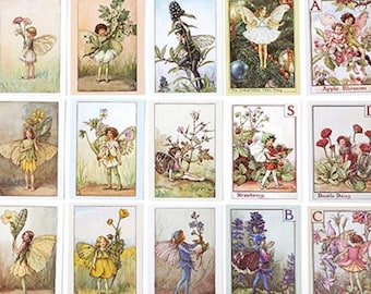 Complete Flower Fairies Collection Slipcase Containing Eight