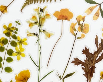 Translucent Yellow Flower Stickers - LONG Stem Floral Stickers - For Crafts, Journals!  #0222