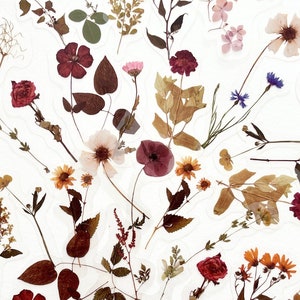 May include: A collection of pressed flowers and leaves in various shades of brown, red, and pink. The flowers are arranged in a circular pattern on a white background.