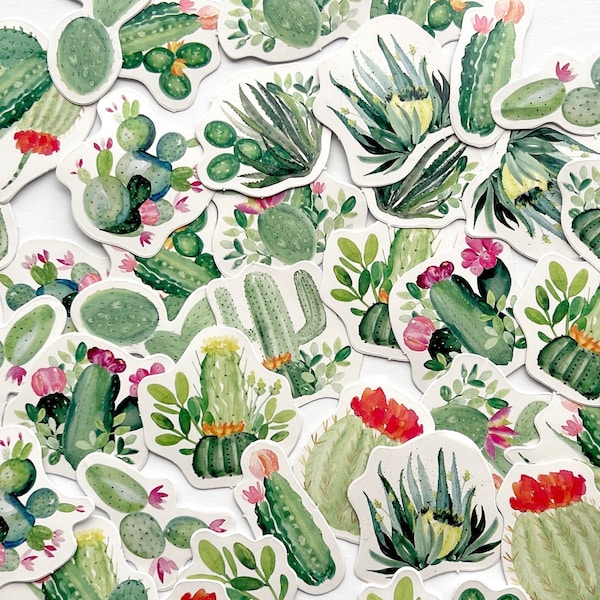 Cactus Stickers Etsy