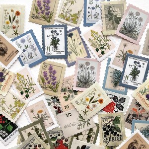 K&ouml;nnte beinhalten: Eine Sammlung von Vintage-Briefmarken mit botanischen Illustrationen. Die Briefmarken sind in verschiedenen Farben gehalten und zeigen verschiedene Blumen, Pflanzen und Beeren. Einige der Briefmarken haben Text in verschiedenen Sprachen, darunter "POSTA ROMANA" und "БЪЛГАРИЯ".
