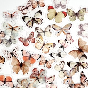 40 Translucent Muted Cream Colored Butterfly Stickers - Clear Plastic Backing - Great for Crafts, Scrapbooking, Journals, MORE!  #0077