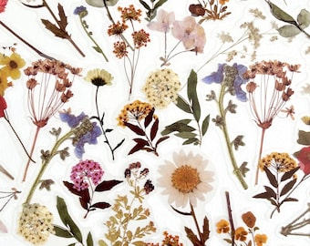 40pcs Fall Flower Stickers, Translucent Floral Stems, For Crafts and Journals!  #0201