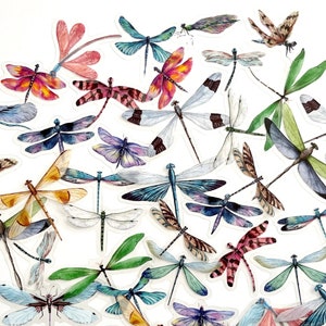 40 Translucent Dragonfly Stickers - Beautiful Multi Colored Dragonfly Stickers - Great for Crafts, Scrapbooking, Journals!  #0076C