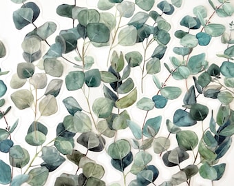 Könnte beinhalten: Eine Sammlung von Aquarell-Eukalyptusblättern in Grüntönen, perfekt zum Basteln oder Scrapbooking.