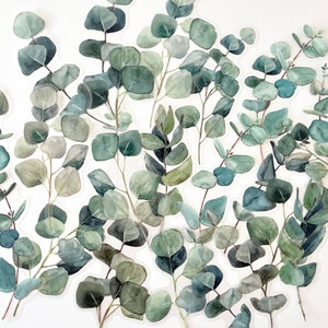 20pcs Large Green Eucalyptus Stickers, Long Stem Leaf Sticker, For Crafting and Journals!  #0201C