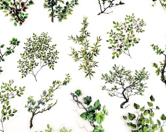 30pcs Green Plant Stickers - Translucent Branch Designs - For Crafts and Scrapbooking! #0057