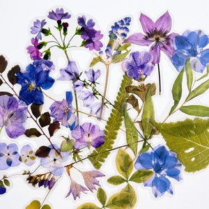 Translucent Purple Blue Flower Stickers - Clear Backing Floral LONG Stem Stickers - Great for Crafts, Scrapbooking, Journals!  #0220