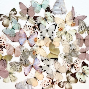 40 Translucent Cream Gray Butterfly Stickers - Beautiful Butterfly Stickers Clear Back - Great for Crafts, Scrapbooking, Journals!  #0109D