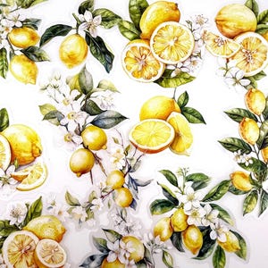 May include: A collection of lemon-themed stickers featuring whole and sliced lemons, white blossoms, and green leaves. The stickers have a watercolor effect and are arranged in a decorative pattern. The lemons are a bright yellow color.