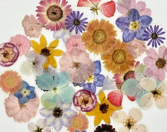 40pcs Translucent Flower Floral Head Stickers - Muted Cloudy Finish Clear Backing - Great for Crafts, Scrapbooking, Journaling!  #0206