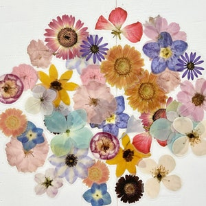 40pcs Translucent Flower Floral Head Stickers - Muted Cloudy Finish - Crafts, Journaling!  #0206