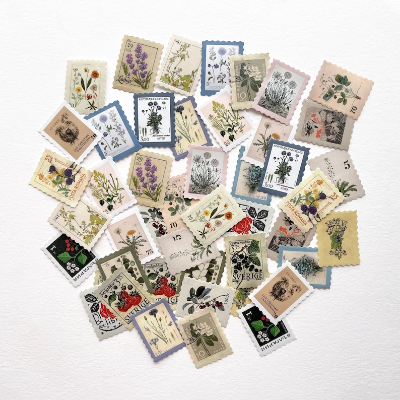 K&ouml;nnte beinhalten: Eine Sammlung von Vintage-Briefmarken mit botanischen Illustrationen. Die Briefmarken sind in verschiedenen Farben gehalten und zeigen verschiedene Blumen, Pflanzen und Beeren. Einige der Briefmarken haben Text in verschiedenen Sprachen, darunter "POSTA ROMANA" und "БЪЛГАРИЯ".