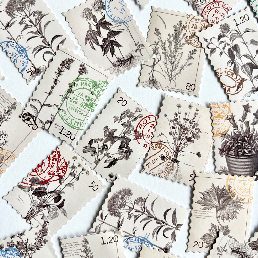 40 Vintage Plant Stamp Stickers - Botanical Stamp Design Stickers, NOT ...